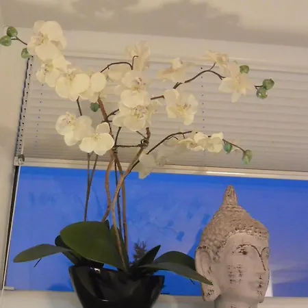 Mostviertel Ardagger Markt