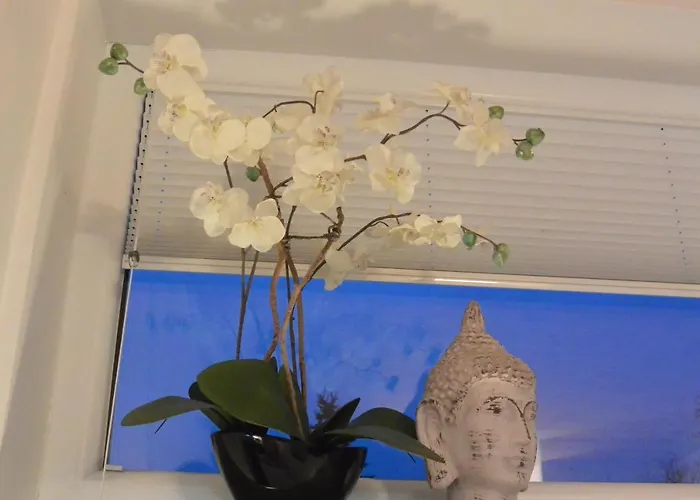 Mostviertel Ardagger Markt